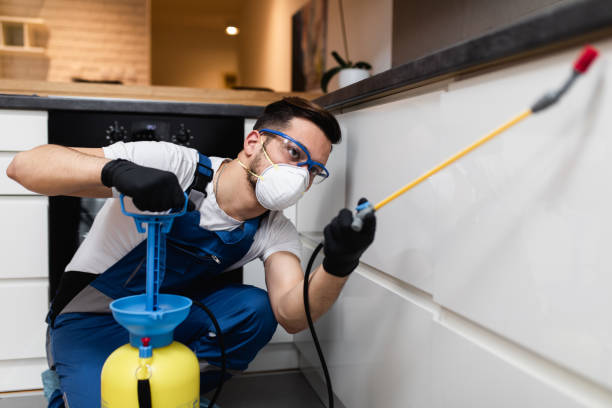 Best Commercial Pest Control Services  in Lake City, FL
