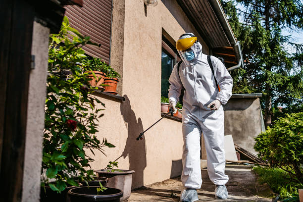 Best Pest Prevention Services  in Lake City, FL