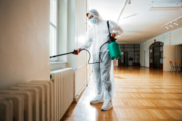 Best Mosquito Control Services  in Lake City, FL