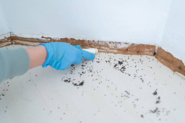 Best Pest Control for Restaurants  in Lake City, FL